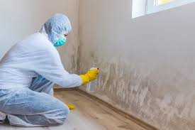 Mold Remediation for Vacation Homes in Laflin, PA